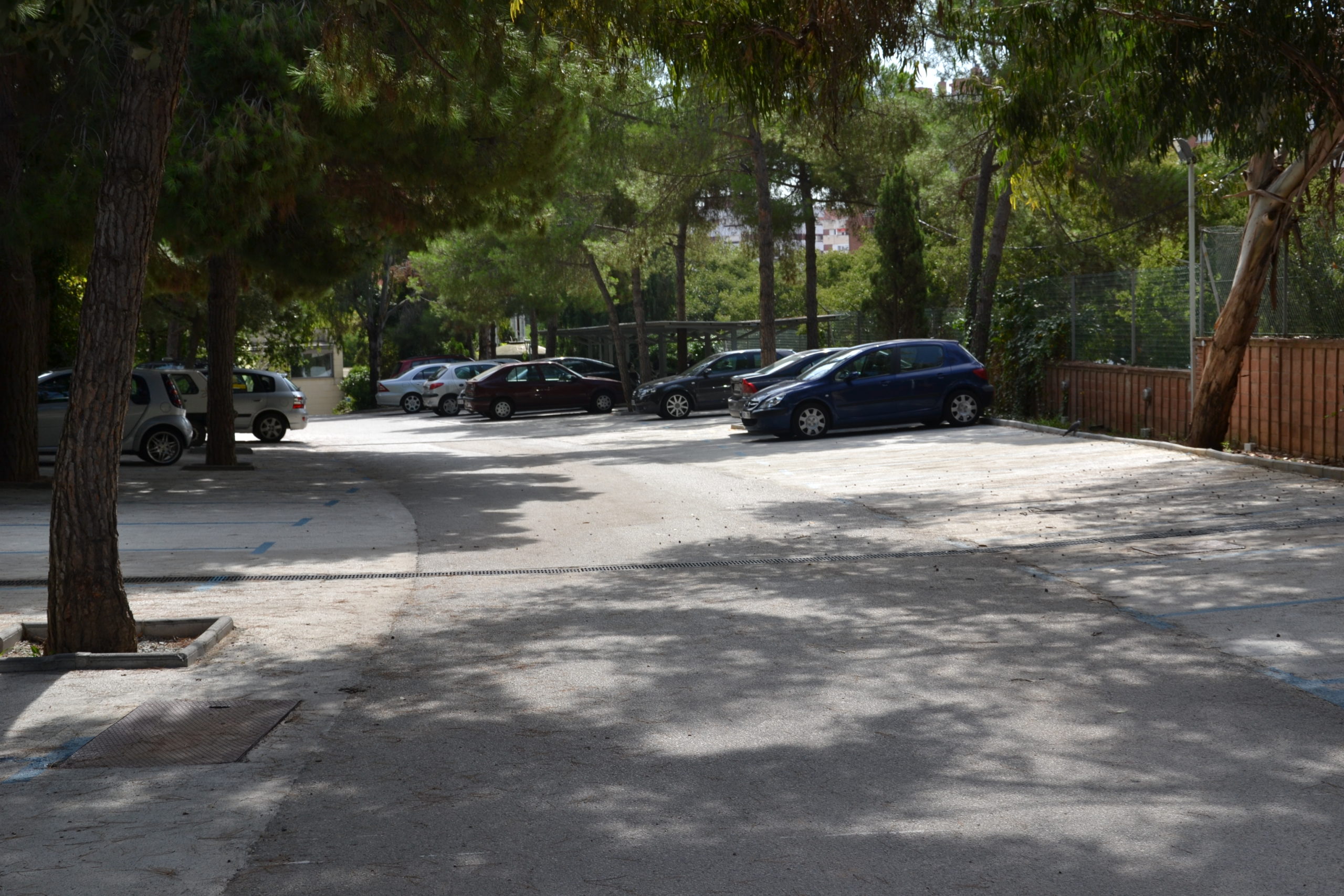 park