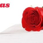 Per Sant Jordi, roses i llibres solidaris a favor de Càritas